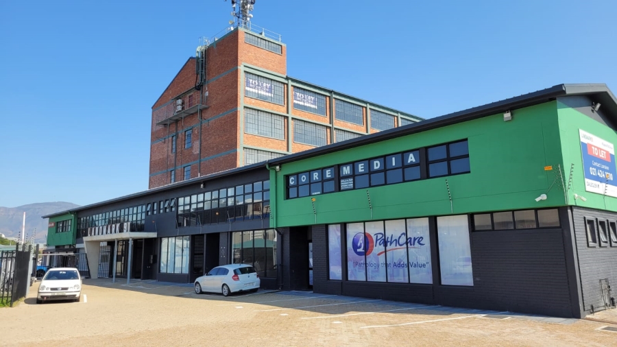 To Let Commercial Property for Rent in Diep River Western Cape